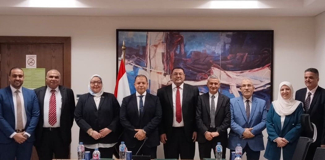 Egypt to build off-grid PV power plant in Djibouti

